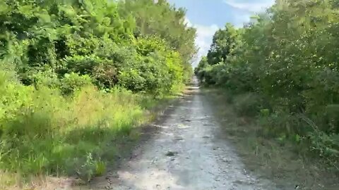 On the trail after work