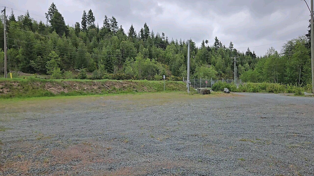 Scotch Broom Eradication in BC