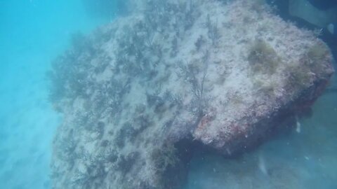 Rocky Point, Dive 1, Part 2.