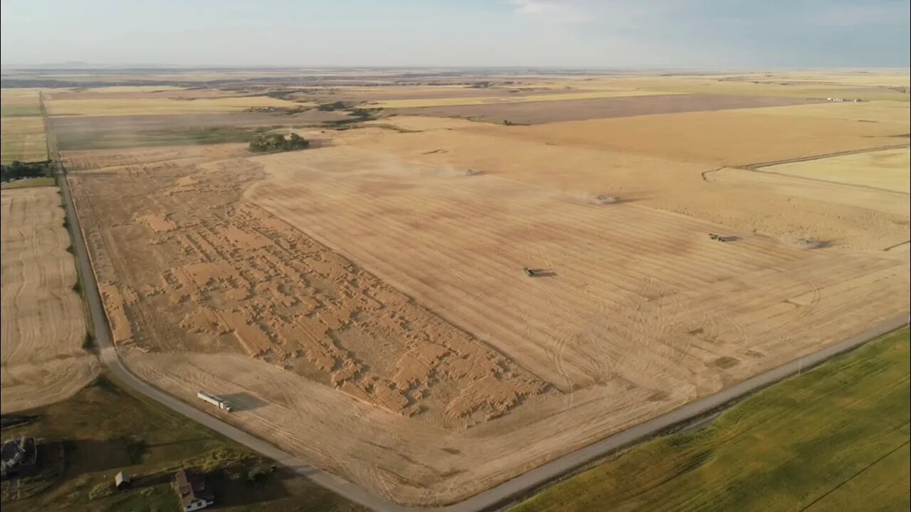 Another patience building day / Day 8 Highwood Montana Wheat Harvest July 27