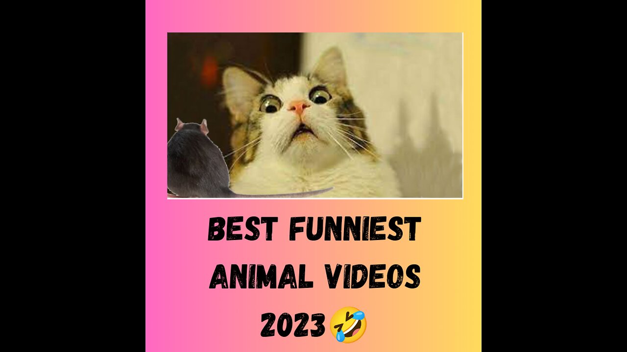 best funniest animal videos 2023🤣