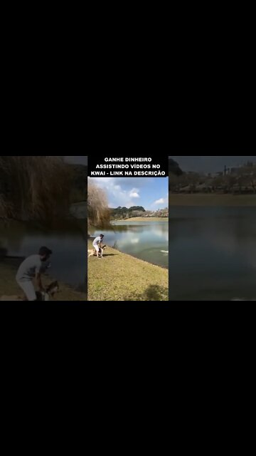 capivara tentou atacar cachorro