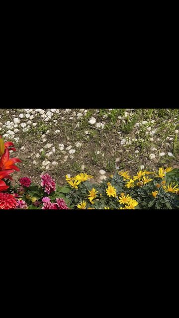 책읽기, 북튜버, 도서, 독서, 낭송, 낭독, 한문, 한자, 한글번역, 관상, 한의학, 본초, 한약, 동양고전, 제자백가, 유학, 도교, 유교, 춘추전국시대, 고전공부,