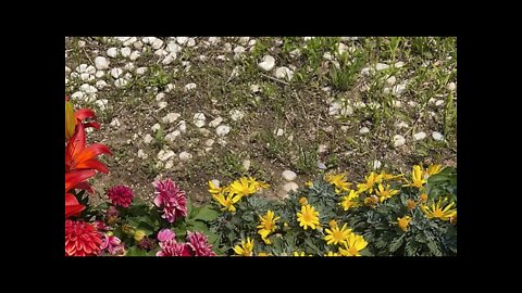 책읽기, 북튜버, 도서, 독서, 낭송, 낭독, 한문, 한자, 한글번역, 관상, 한의학, 본초, 한약, 동양고전, 제자백가, 유학, 도교, 유교, 춘추전국시대, 고전공부,