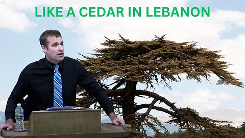 Pastor Matthew Stucky | Like a Cedar In Lebanon