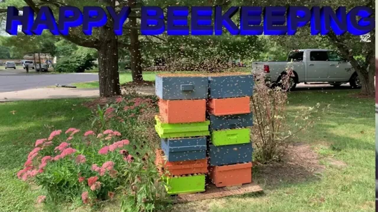 Sept 13, 2020 - SUPER FEEDING STATION! OVER 200 LBS BACK TO THE BEES!