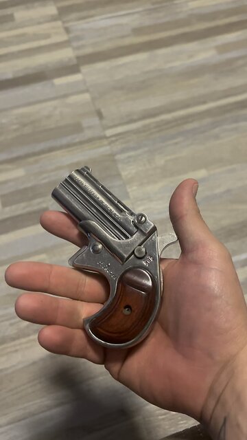 38 Special Derringer