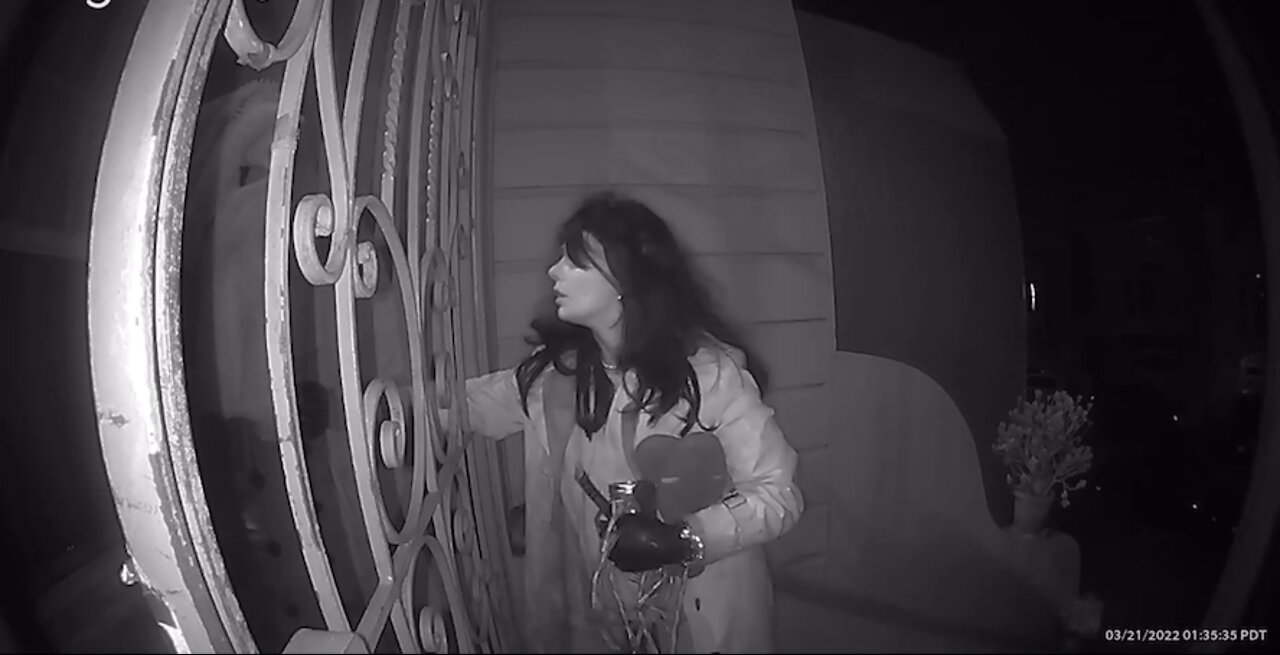 Woman confronted by homeowner