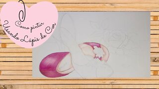 Pintura Com Lápis De Cor Desenho Sapato E Rosa