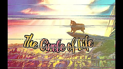 The Circle of Life
