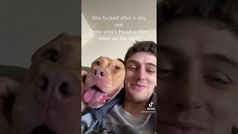 Inseparable pup . Supposed to say in this heat