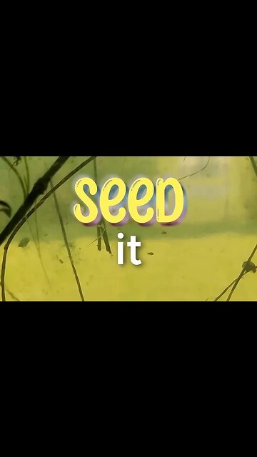 AQUASUTRA - Simple Rules to keep your Aquarium Clean