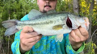 Morning Bass Bite