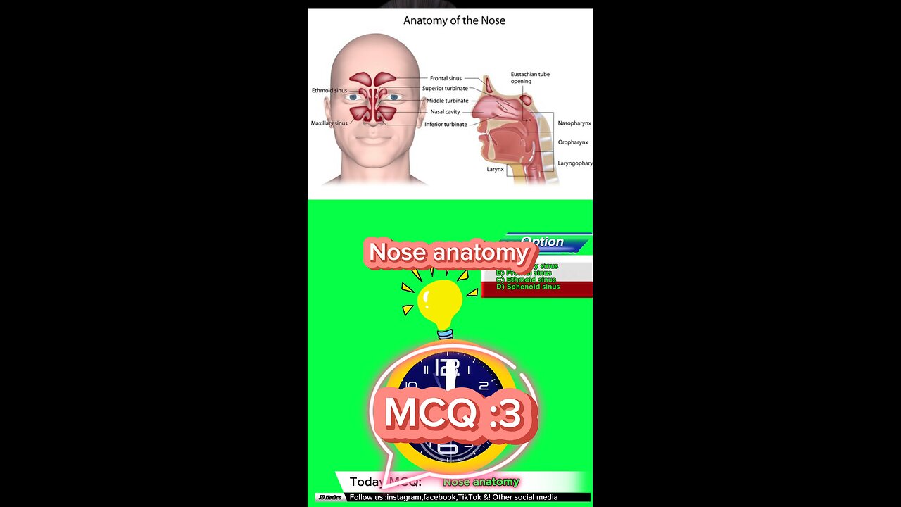 Nose mcqs #Qadisiyah #quiz #Arabic #MedicalQuiz #phramcology #nurses