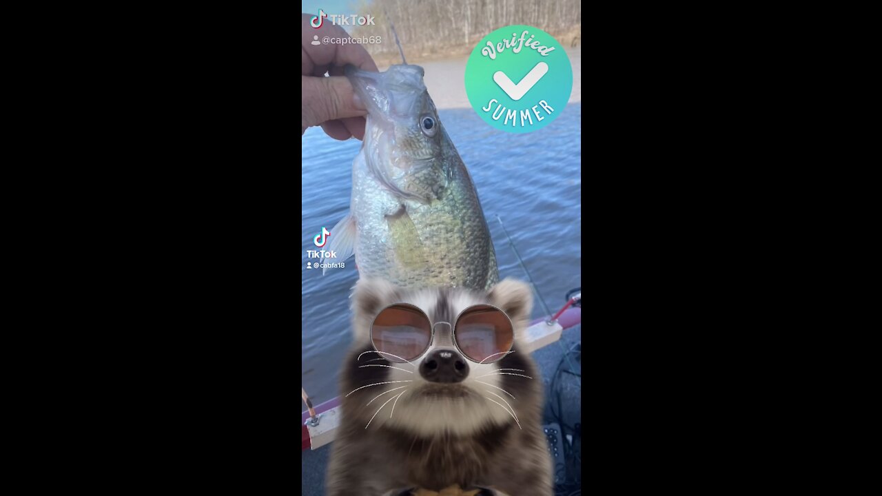 Fishing with rocky