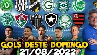 TODOS OS GOLS DESTE DOMINGO 21/08/2022 | GOLS DO FANTÁSTICO 21/08/2022,GOLS DE HOJE, GOLS DA RODADA