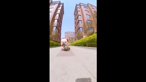 Skatedog 01