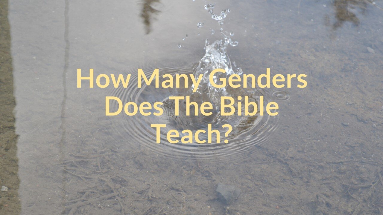 How Many Genders Does The Bible Teach?