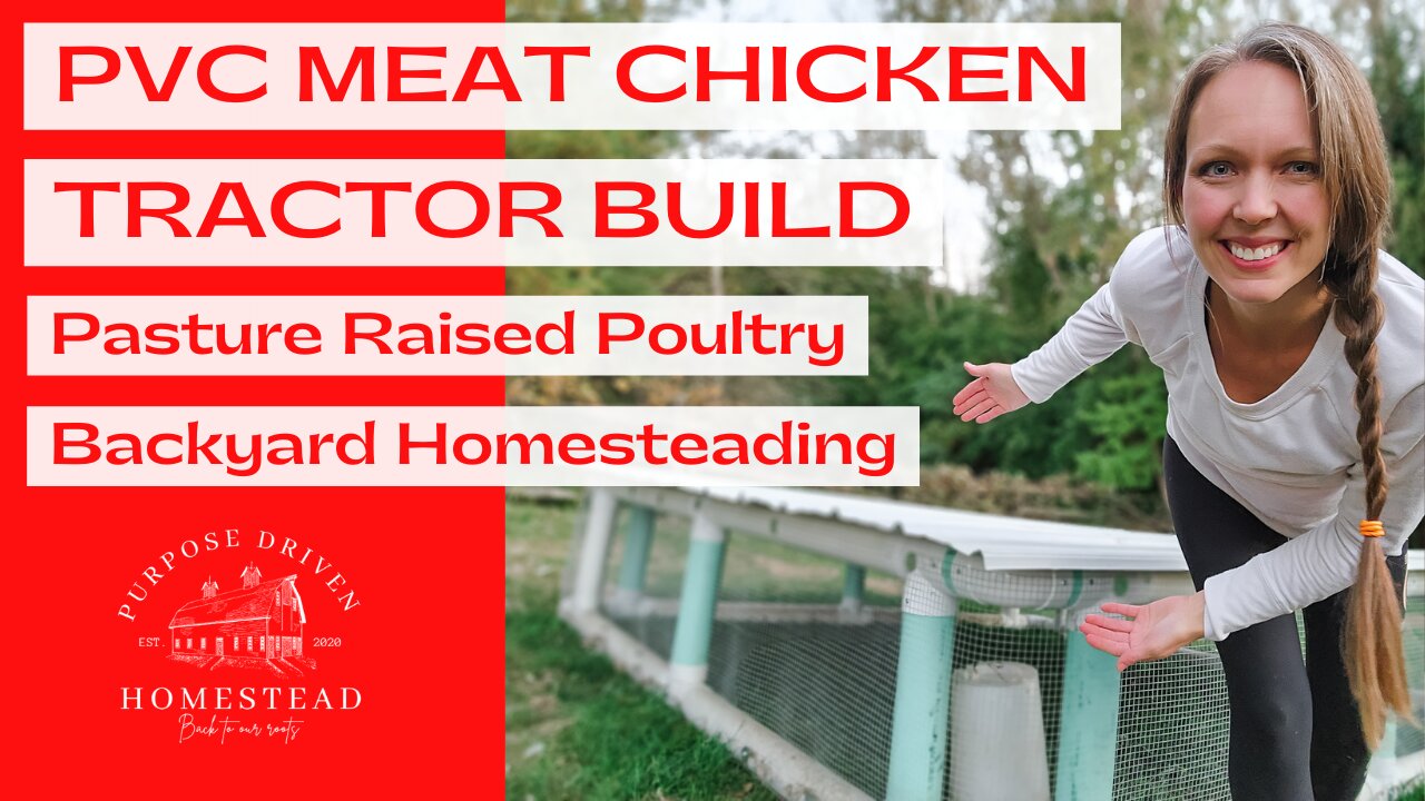 Chicken Tractor Build for Backyard Pasture Raised Poultry