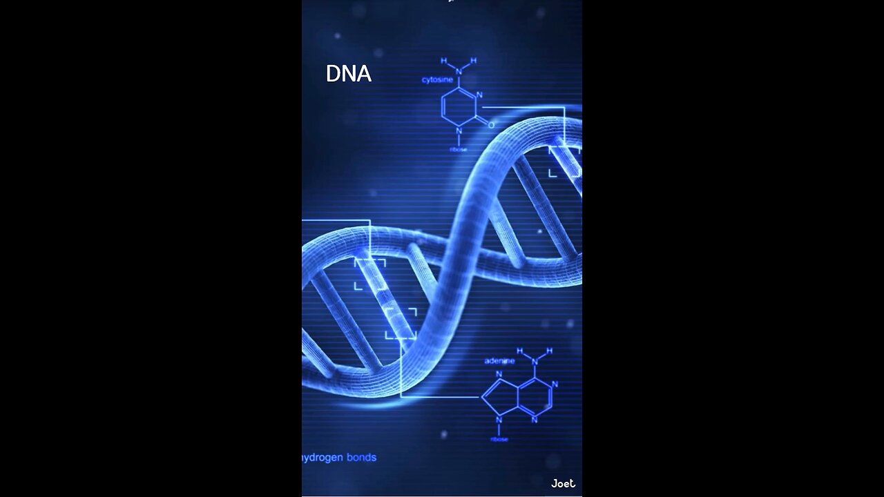 DNA