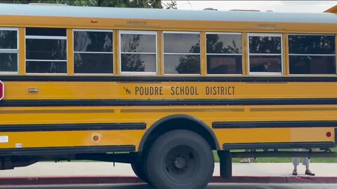 School district paraprofessional allegedly hit kindergartner with disabilities