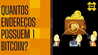 Quantas pessoas ou endereços estão acumulando pelo menos 1 BTC? - [CORTE]