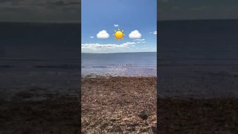 Beautiful sunny day in Canada