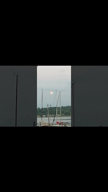 Very Large Full Buck Moon in Ontario
