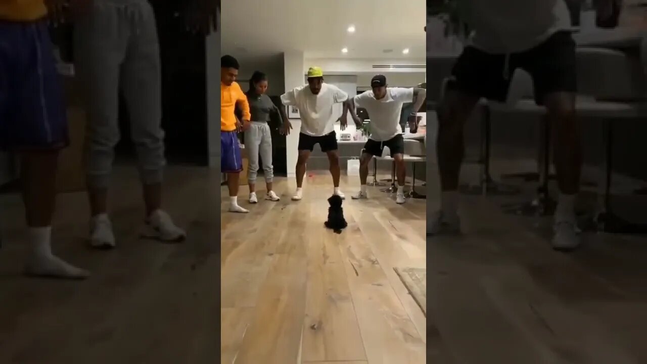 So Many Strange Big foot creatures I have ever seen , # short