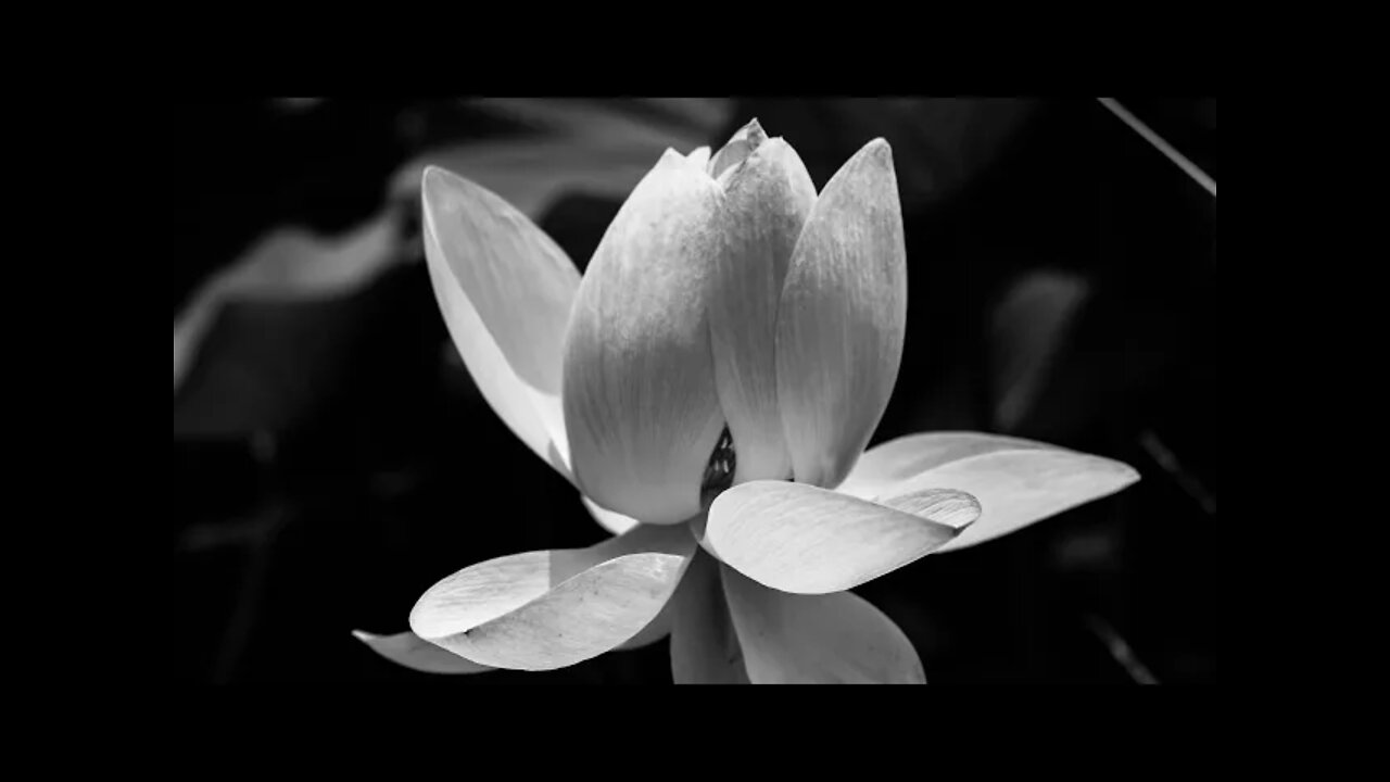 MEDITATION, MEDITATION MUSIC FOR HEALING, MANIFESTATION, HEALING MEDITATION, RELAXATION, SLEEP MUSIC