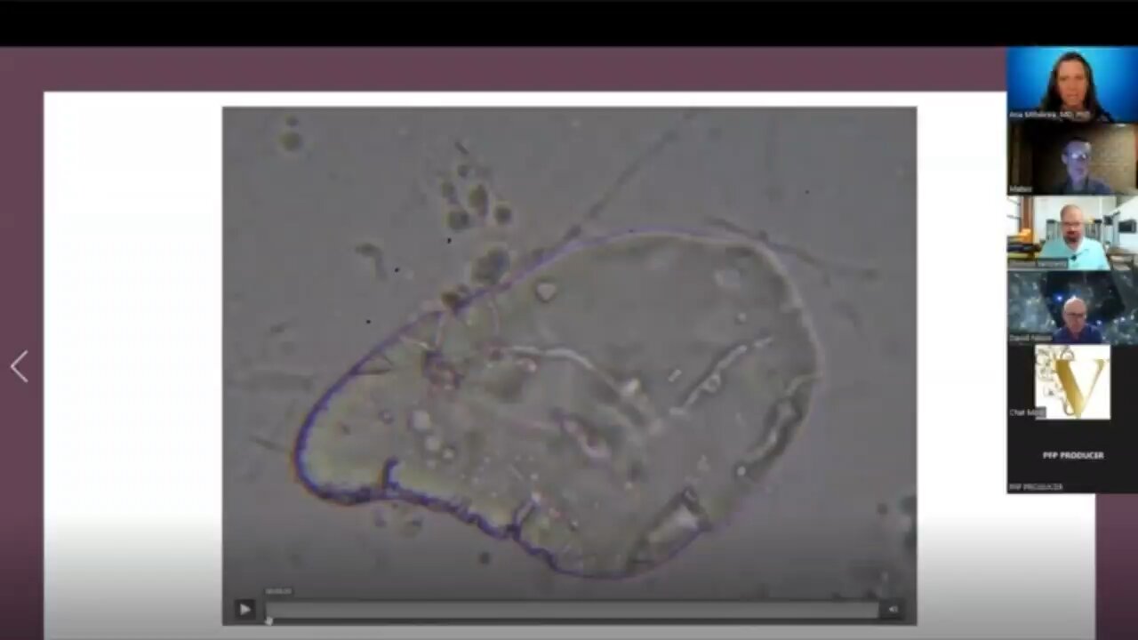 mRNA vaccines