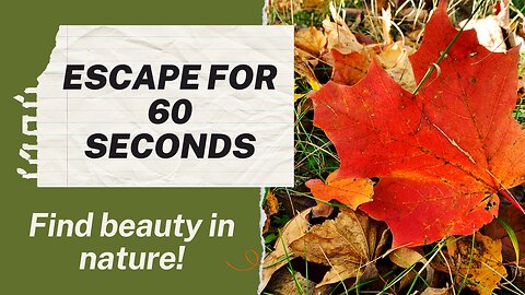 Explore with us! Escape to nature for 60 seconds