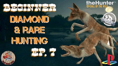 Beginner Diamond & Rare hunting Ep 7 theHunter Call of the Wild