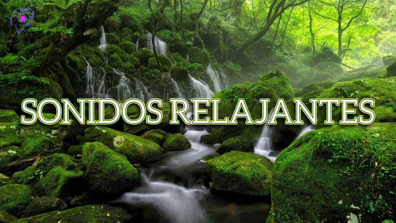 Sonidos Relajantes Del Bosque 🌲 Sonidos De Pájaros - Sonido Del Río