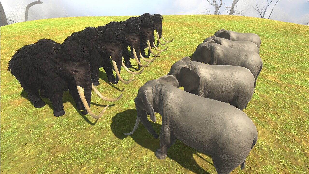 Mamute Vs Elephant