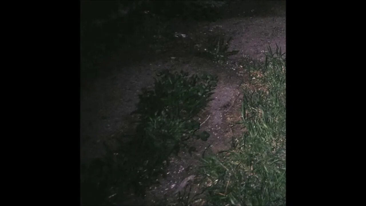 surrenderdorothy - theoceanhasneverbeensocold (Instrumental Without Intro)