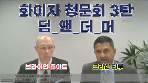 호주 화이자 청문회 3탄 구라쟁이 덤앤더머