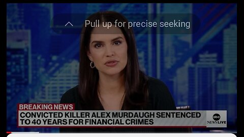 Alex Murdaugh sentenced to another 40 years for fraud, money laundering.