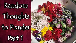 Random Thoughts To Ponder Part 1: Medicine