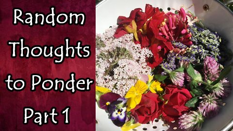 Random Thoughts To Ponder Part 1: Medicine