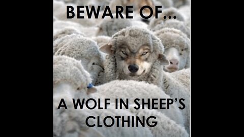 Beware of a Wolf in Sheep's Clothing