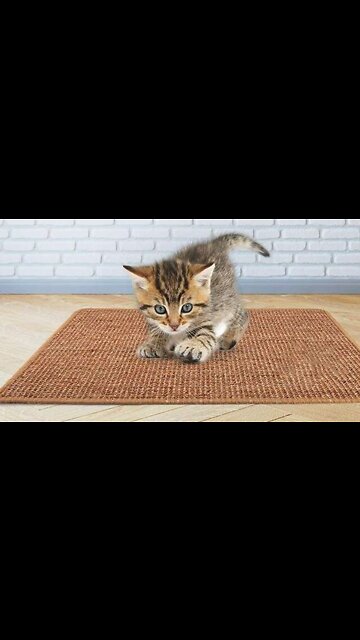 Natural Sisal Felt Cat Scratching Mat