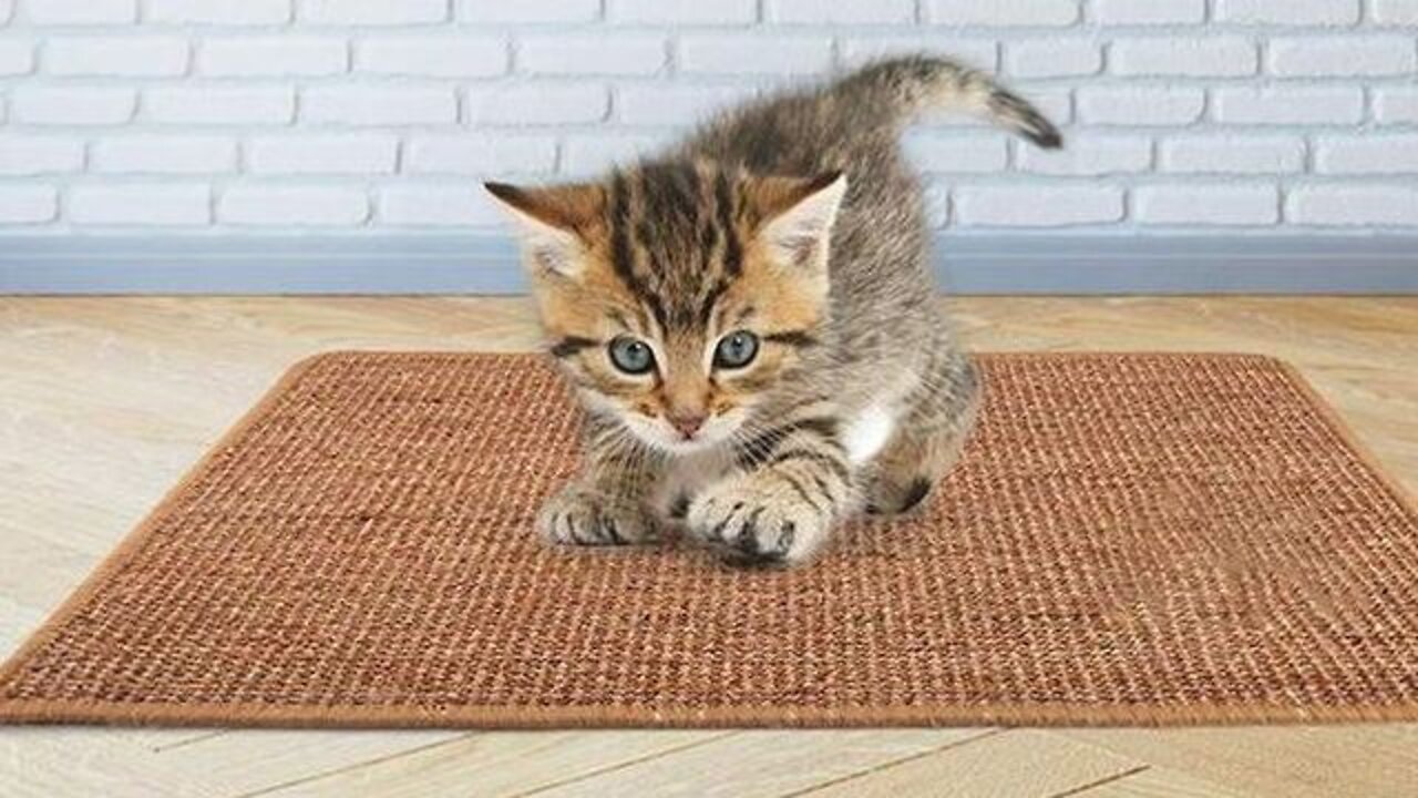 Natural Sisal Felt Cat Scratching Mat