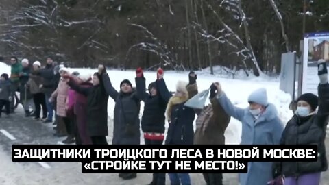 Защитники Троицкого леса в Новой Москве: «Стройке тут не место!»