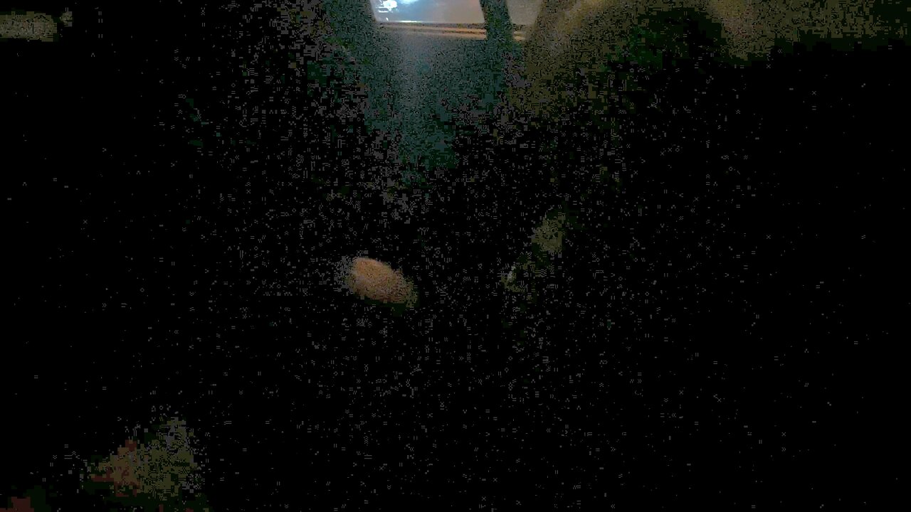 God’s Not Dead — Sung by Angels