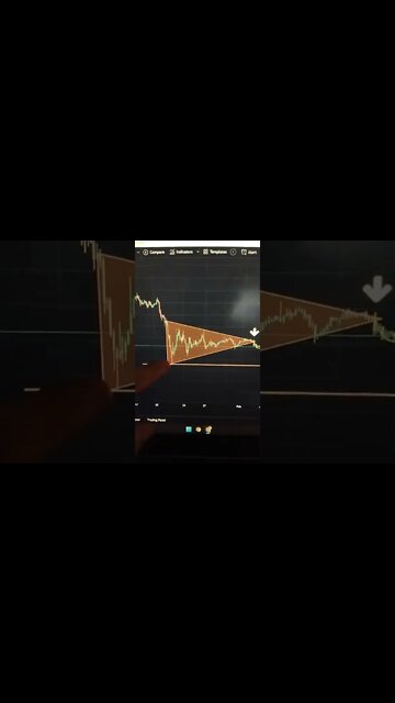 SHIBA INU 🤑 Crypto #shorts