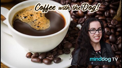 Windy City Wednesday - Ariel Julie - EP517