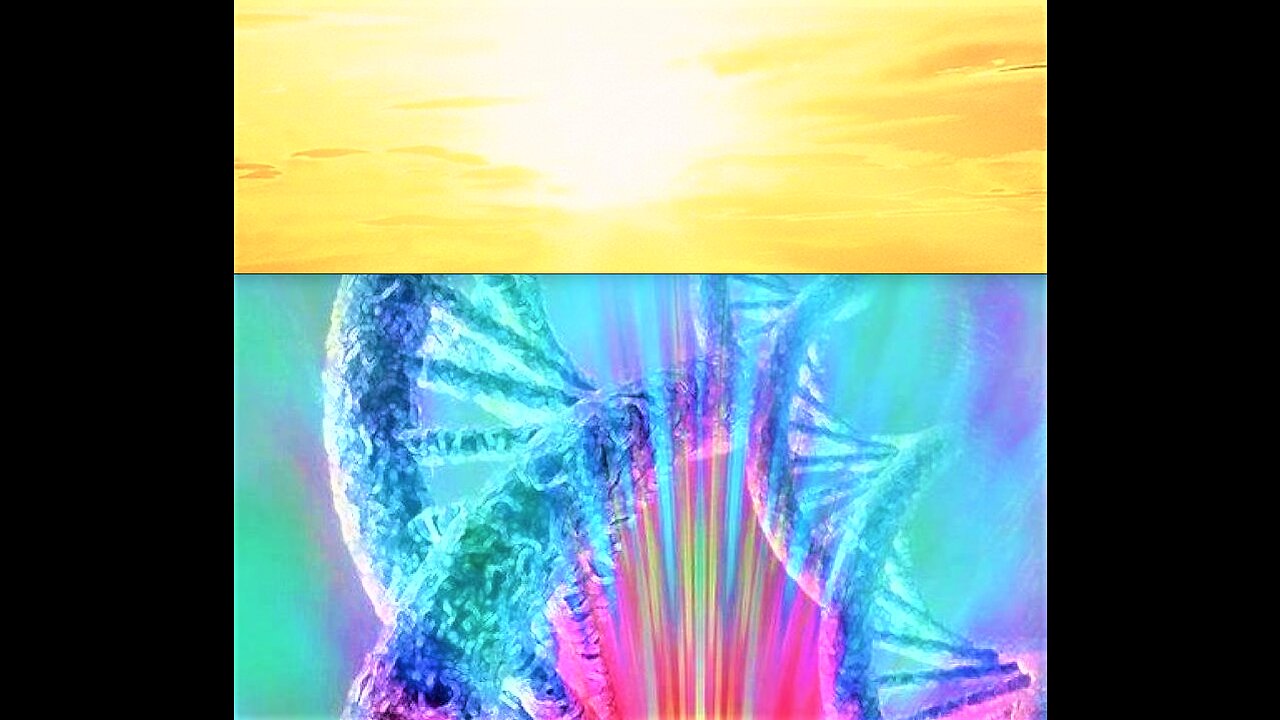 NEW HUMAN ORGANS DISCOVERED*DNA MUTATION*PHOTON BELT*EPIGENETICS*EVOLUTIONARY CHANGES & CREATION*