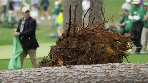 Massive trees topple near spectators during 17th tee of Masters