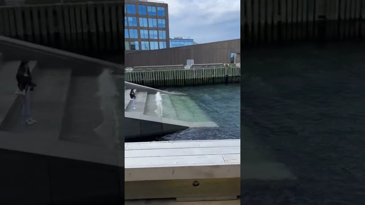 Stairs to the ocean in Halifax NS